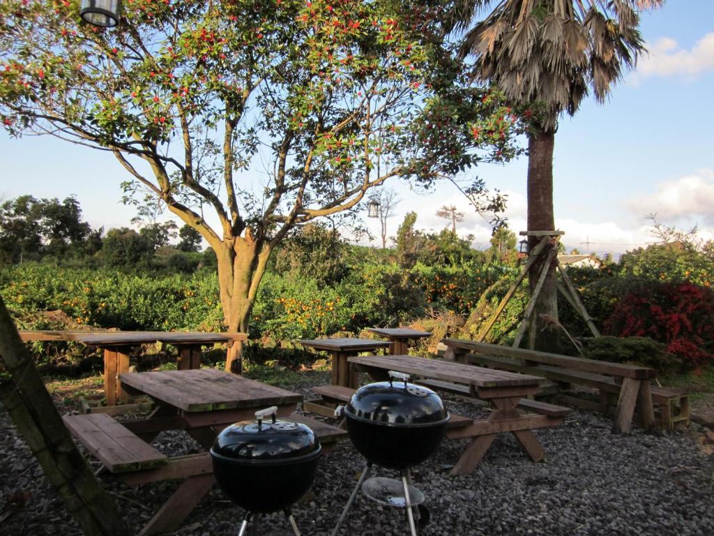 Breakfast At Tiffany'S Pension Seogwipo Ngoại thất bức ảnh